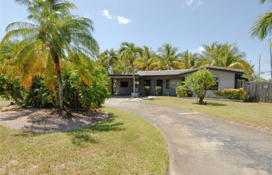 Discover your own tropical oasis!